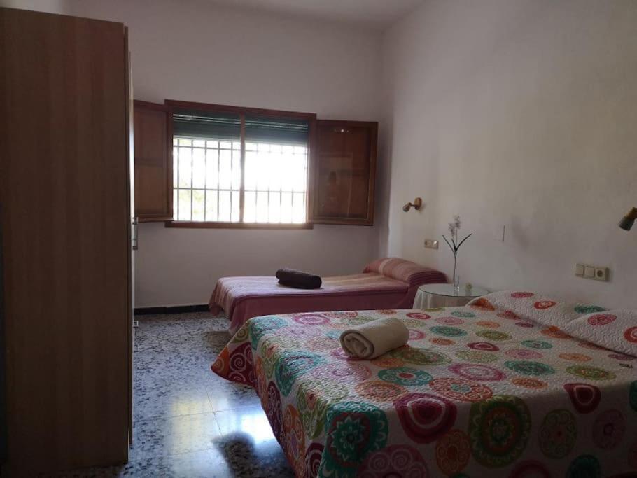 Casa Rural La Colina Каласпара Екстериор снимка